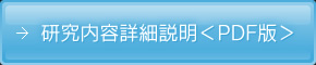研究内容詳細説明＜PDF版＞